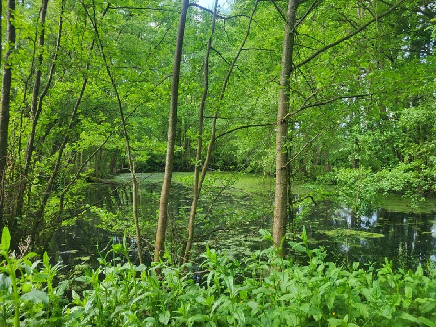  kaufen Haus Glénay Deux-Sèvres 1