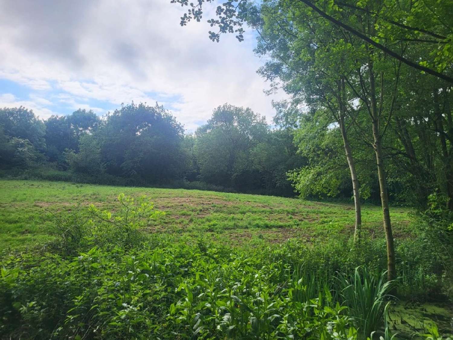  kaufen Haus Glénay Deux-Sèvres 3