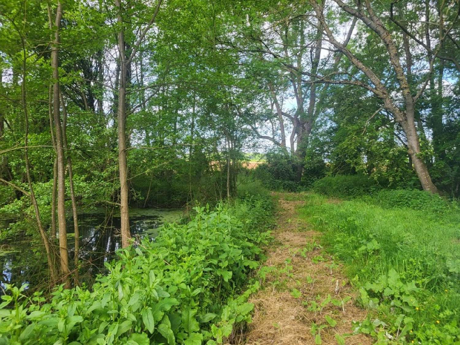  kaufen Haus Glénay Deux-Sèvres 4