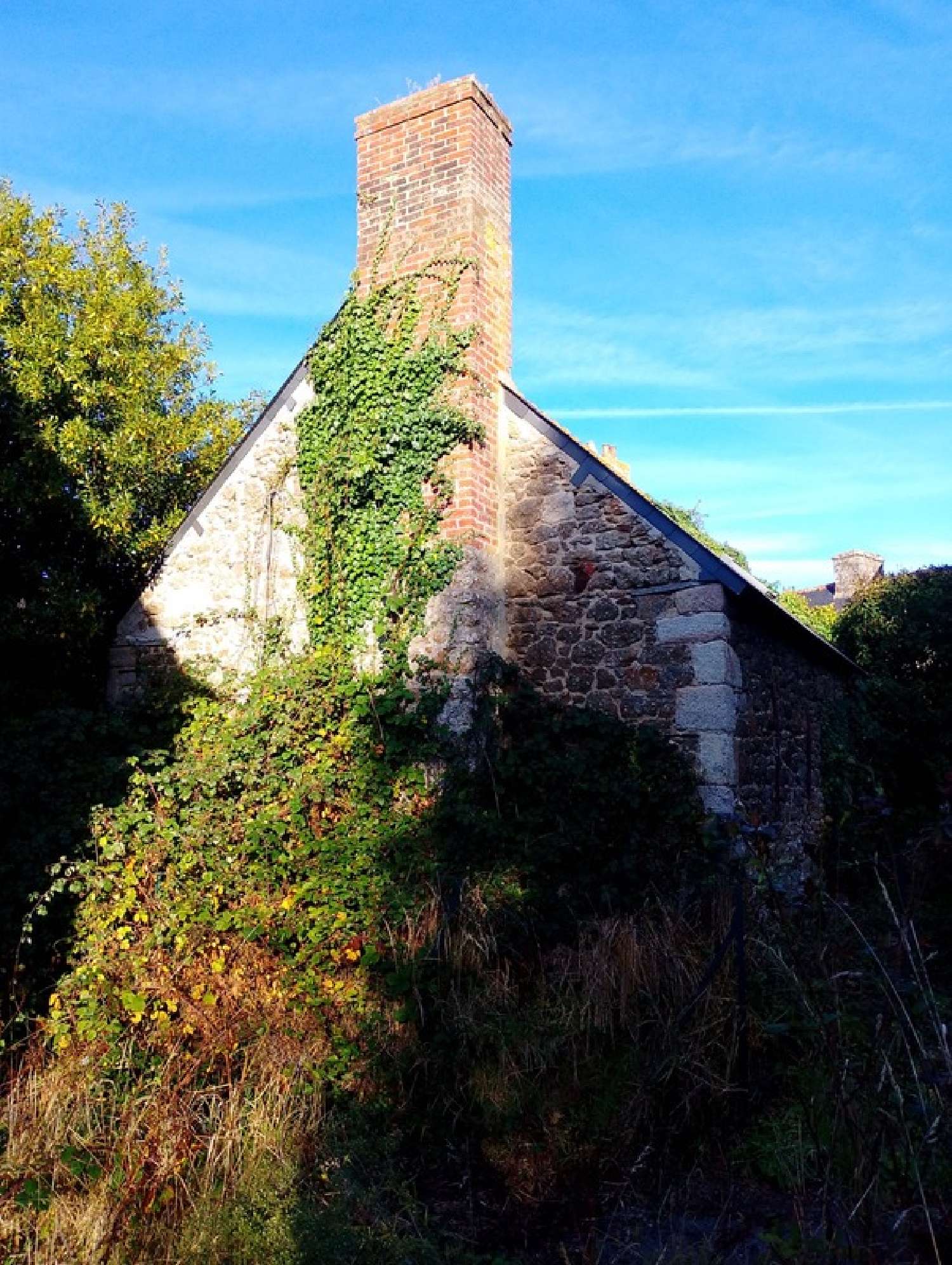 à vendre maison Glomel Côtes-d'Armor 6