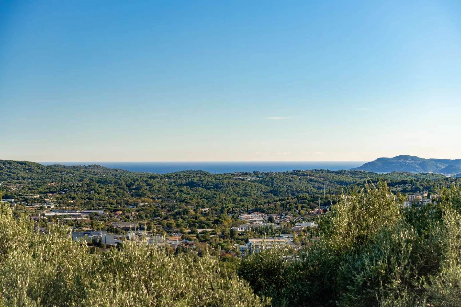  à vendre maison Grasse Alpes-Maritimes 5