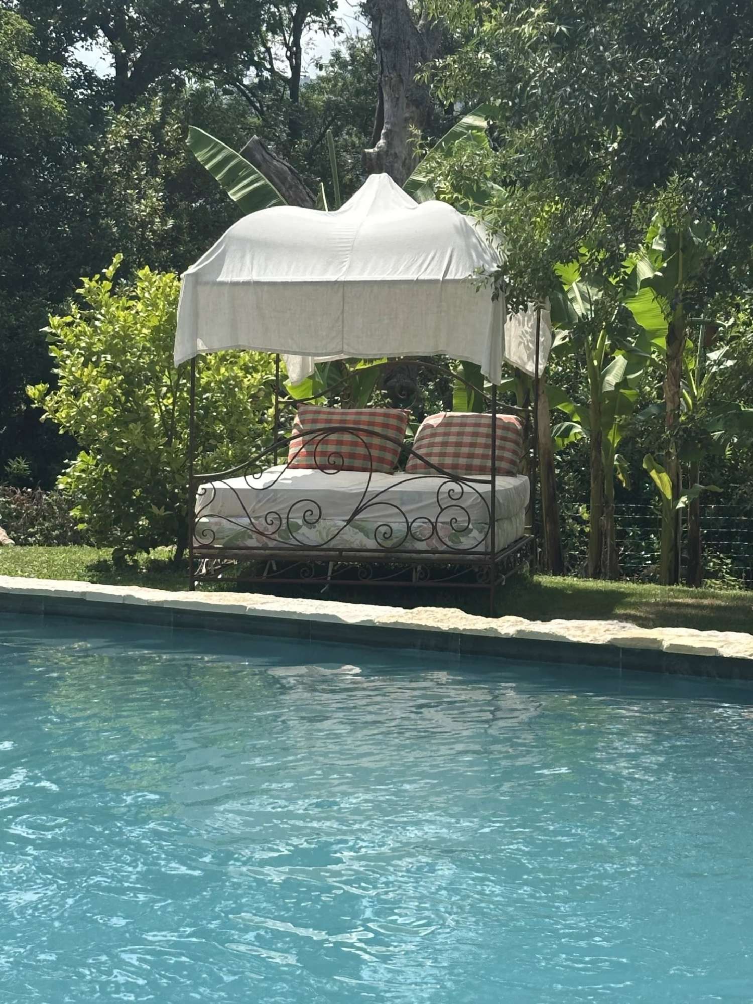 kaufen Haus Grasse Alpes-Maritimes 5