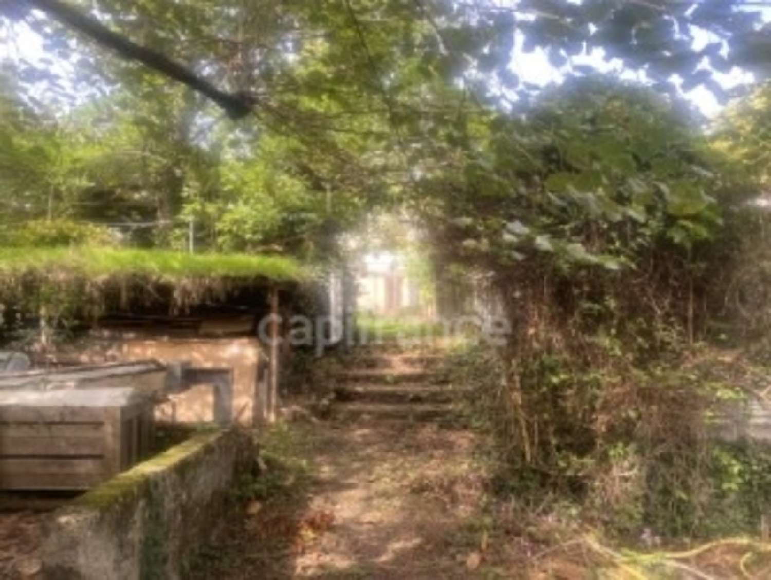 for sale house Grézieu-la-Varenne Rhône 4