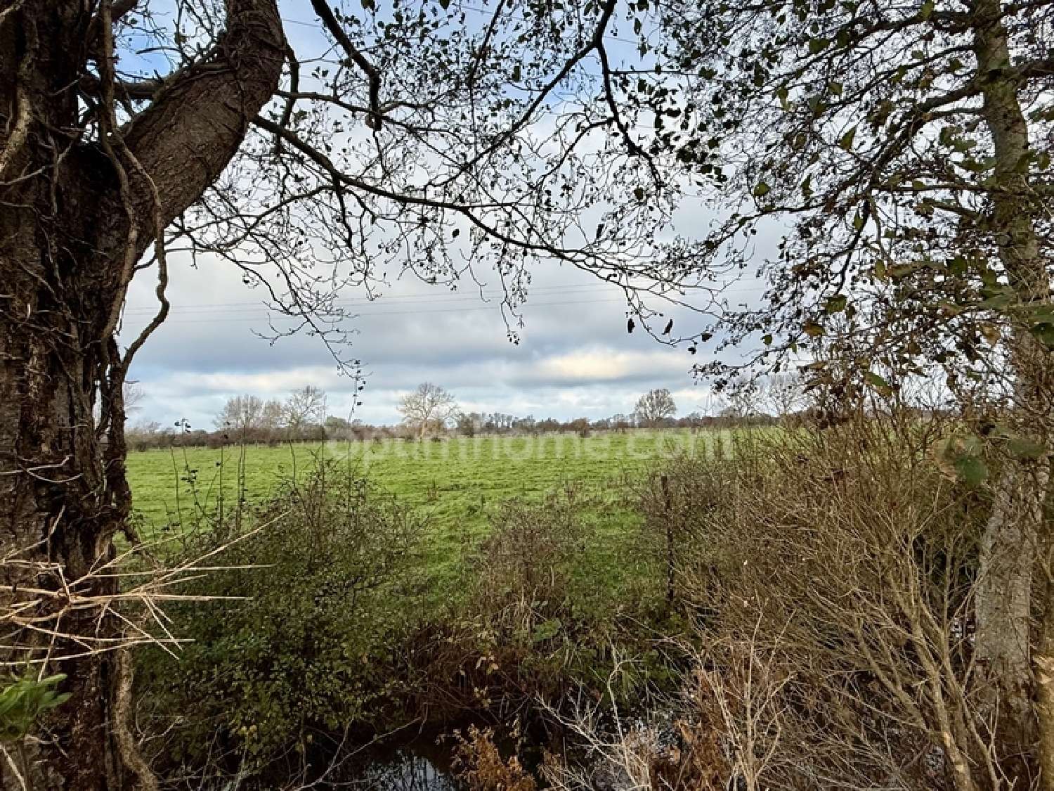  for sale house Groffliers Pas-de-Calais 4