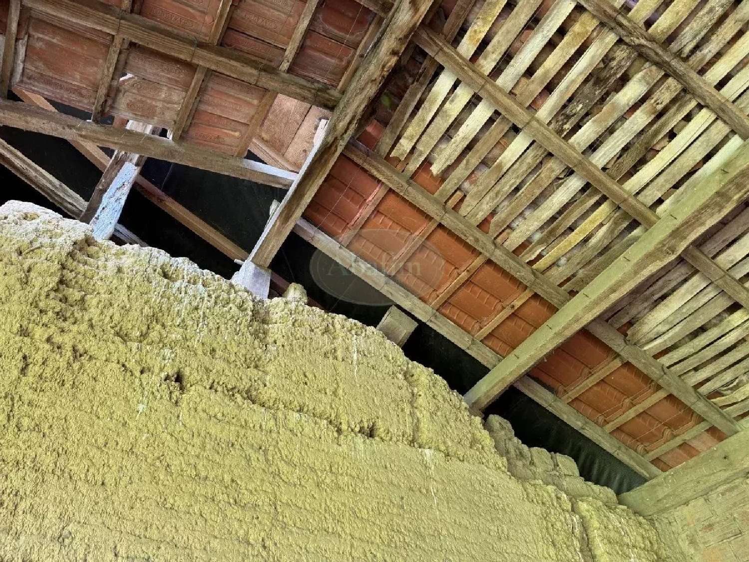  for sale house Guizerix Hautes-Pyrénées 3