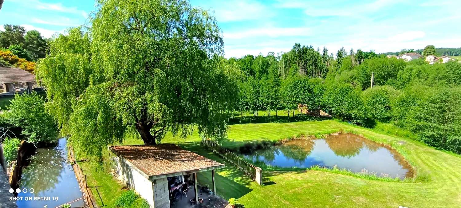 kaufen Haus Hadol Vogesen 2