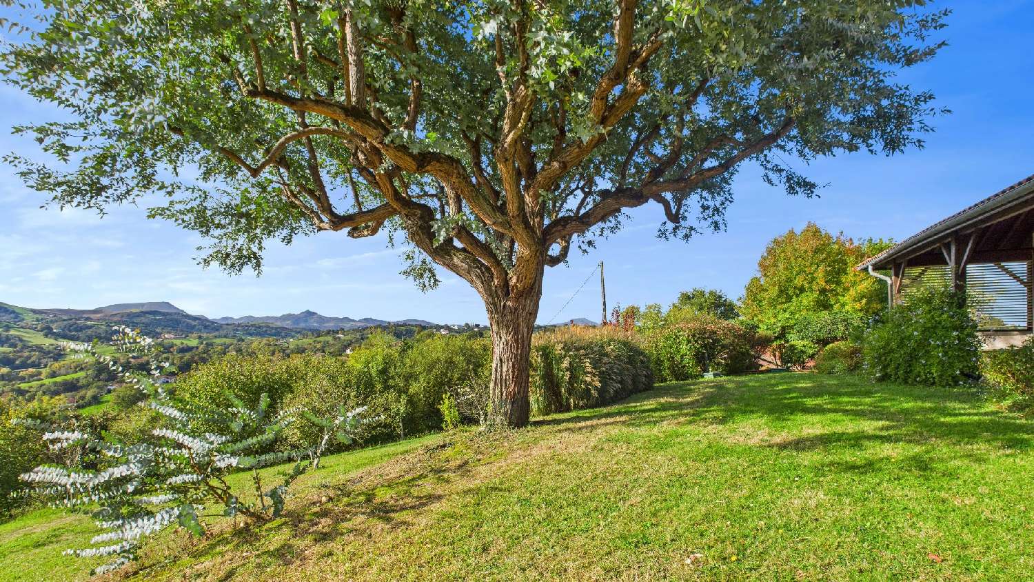  for sale house Hasparren Pyrénées-Atlantiques 3