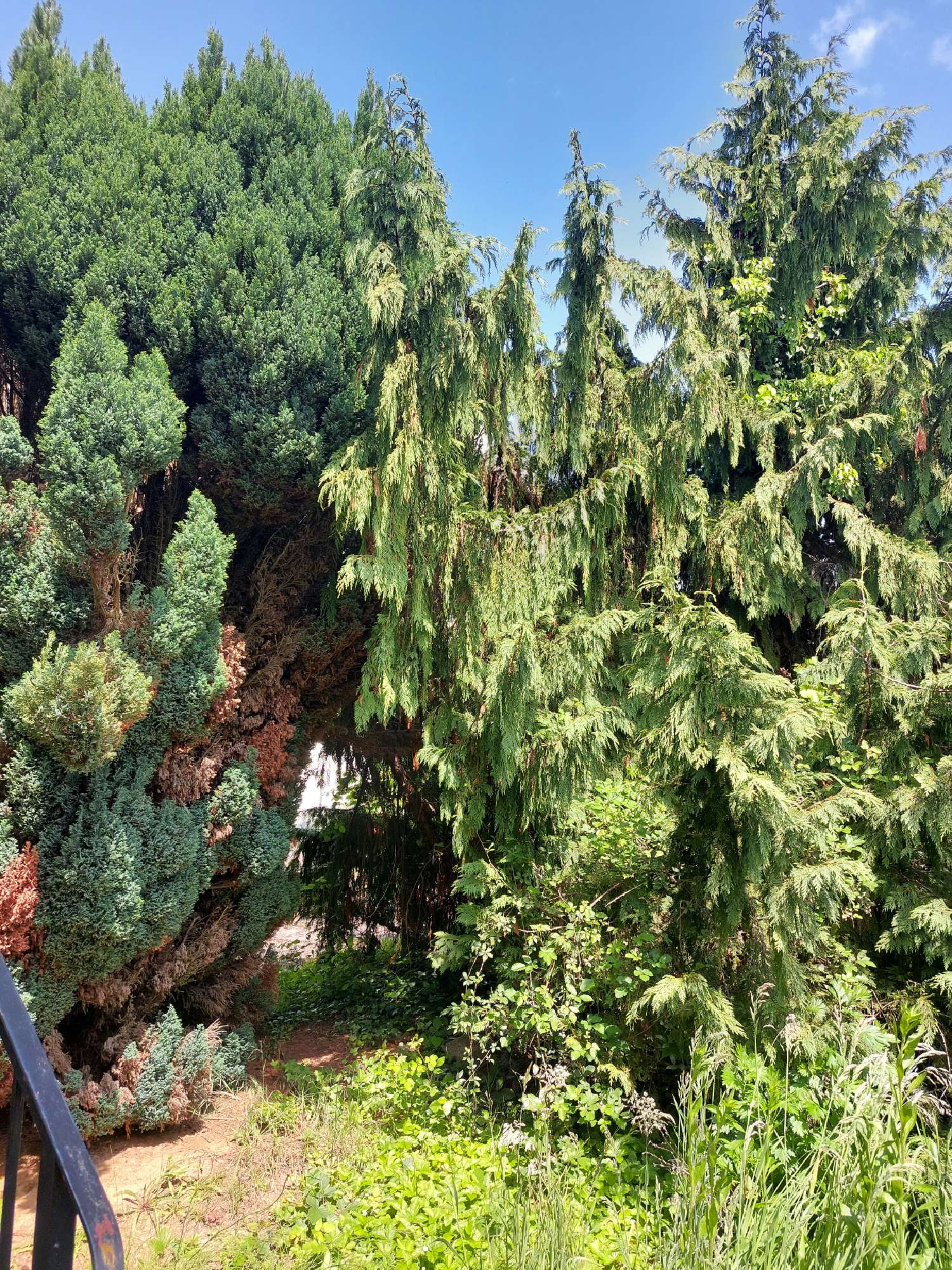 te koop huis Hauterive Allier 2