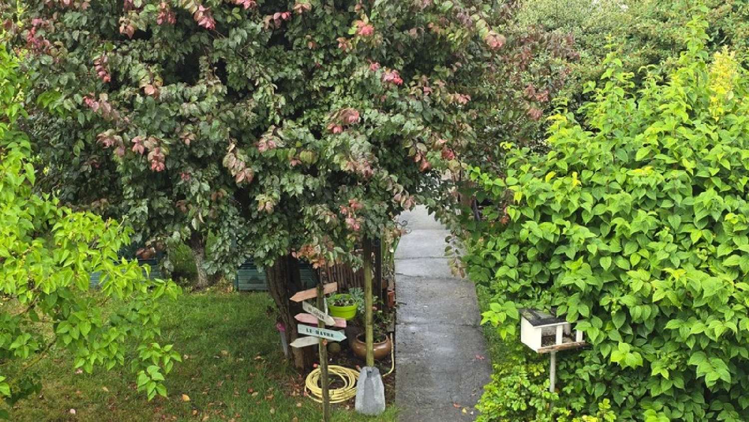 te koop huis Hirel Ille-et-Vilaine 4