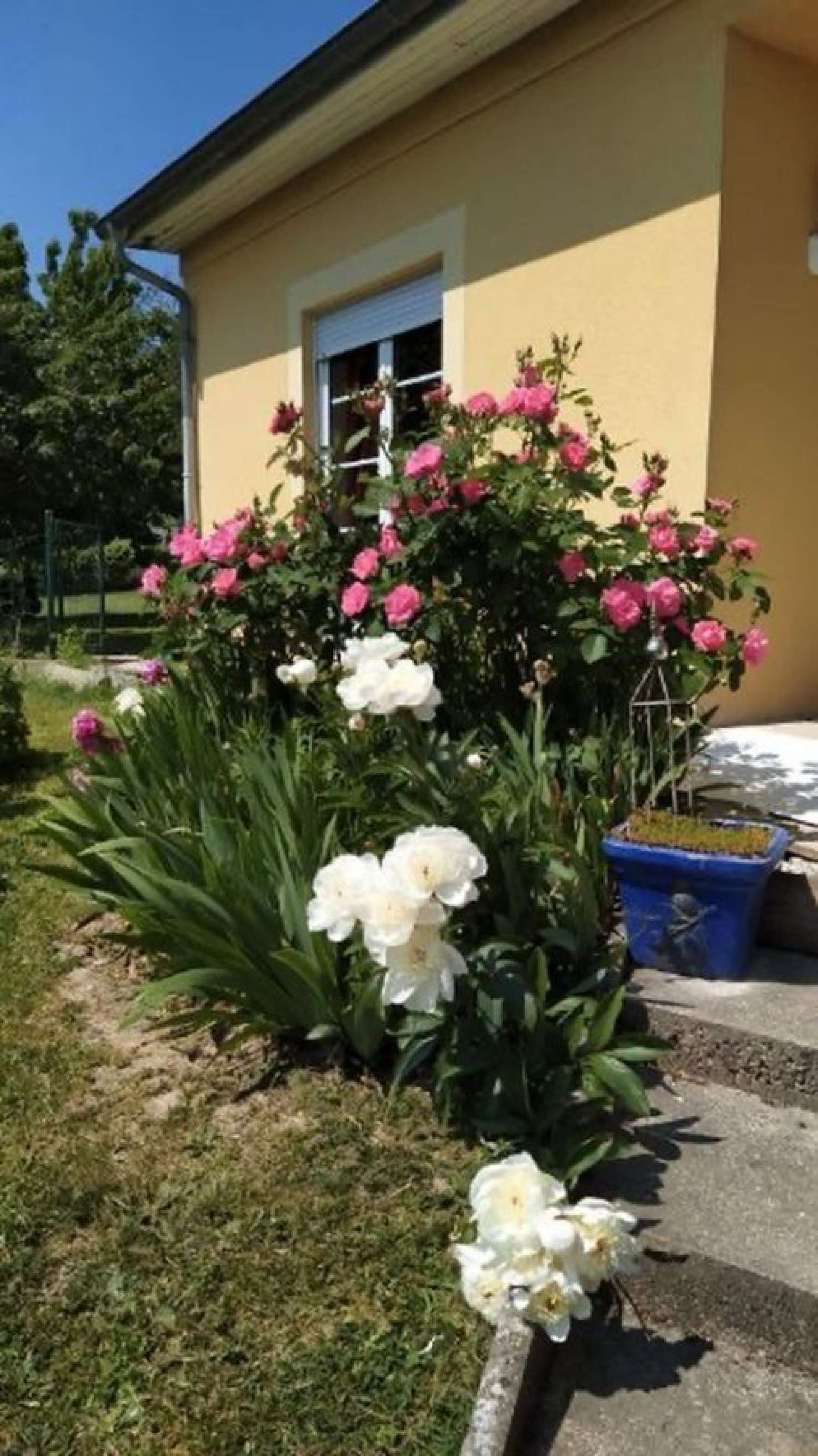  for sale house Hombourg-Haut Moselle 1