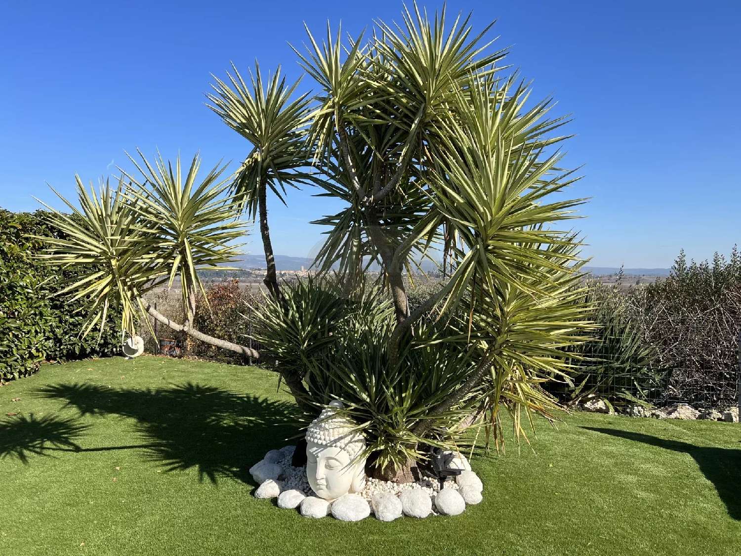  kaufen Haus Homps Aude 6