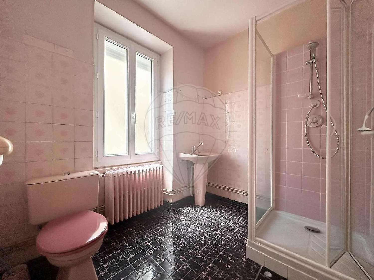 te koop huis Imphy Nièvre 7