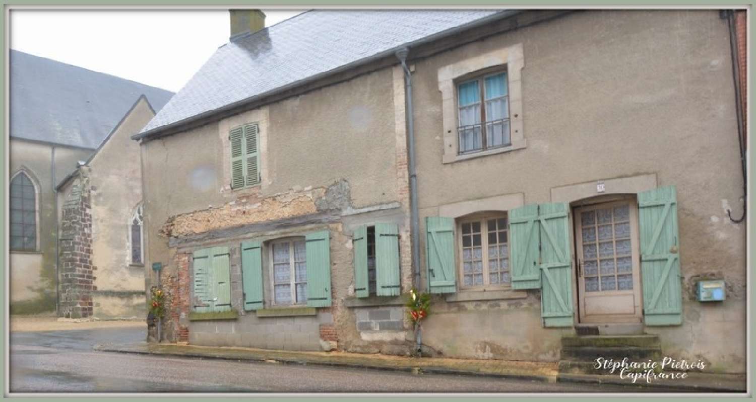 for sale house Ivoy-le-Pré Cher 4