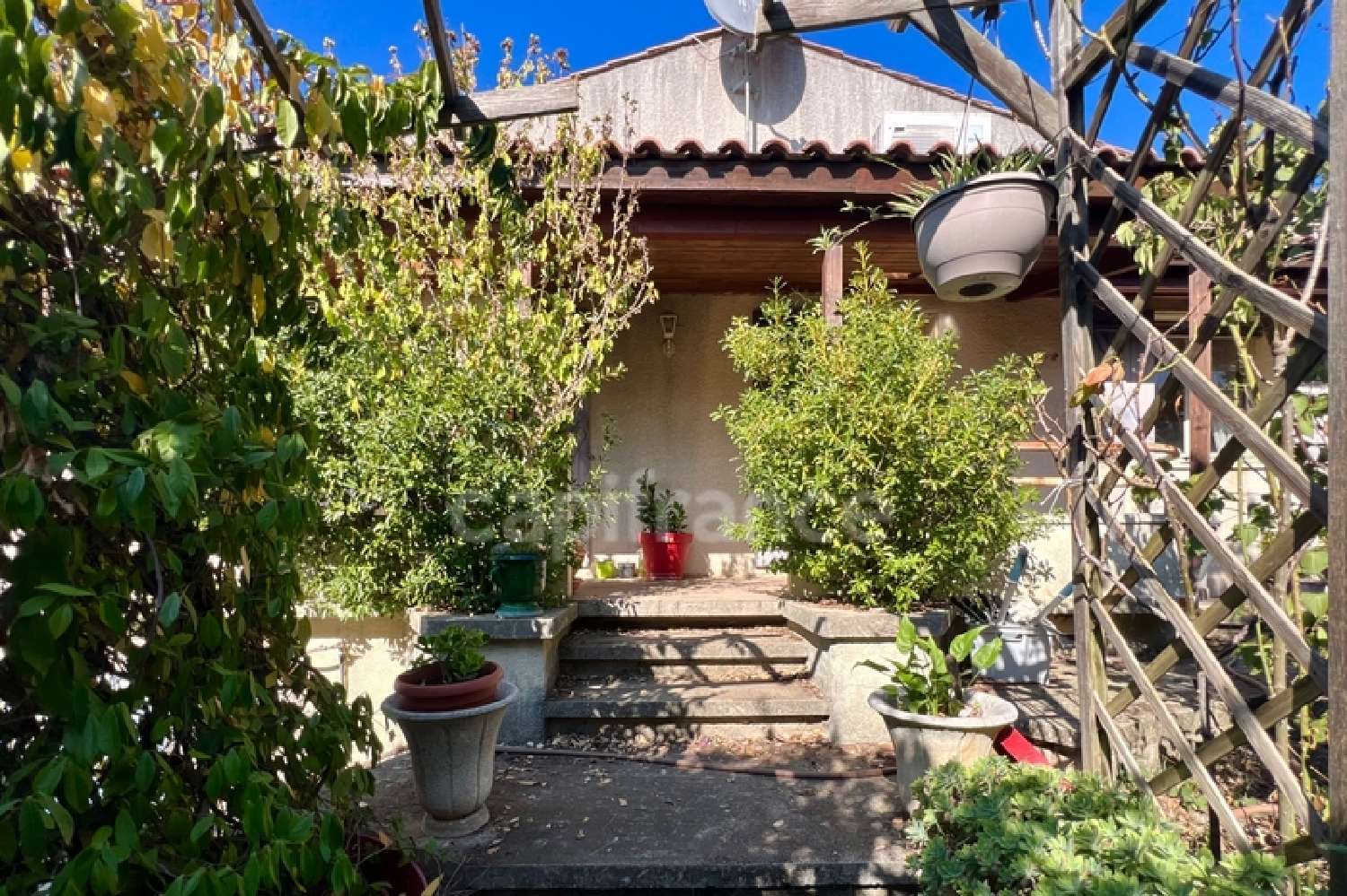 kaufen Haus Jacou Hérault 3