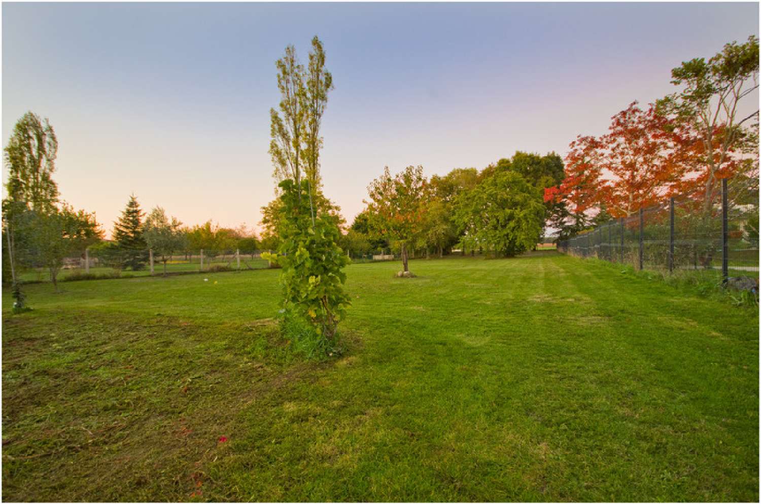 for sale house Jaunay-Clan Vienne 5