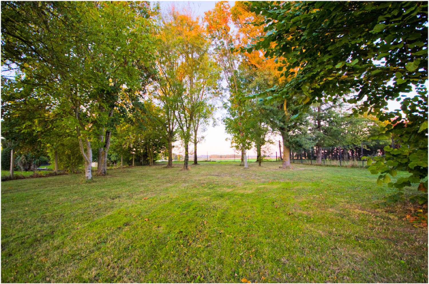 for sale house Jaunay-Clan Vienne 6