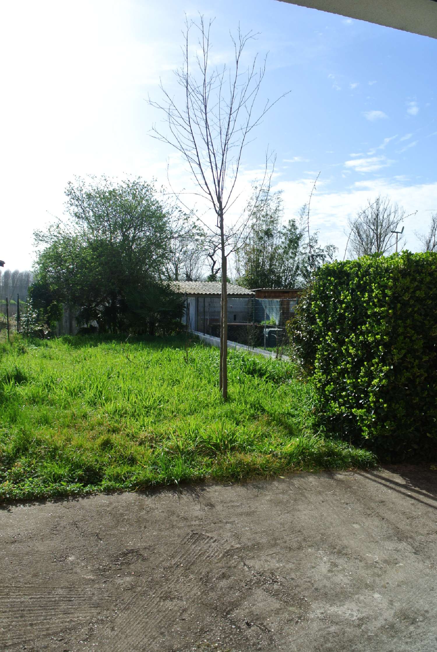 for sale house Jusix Lot-et-Garonne 6