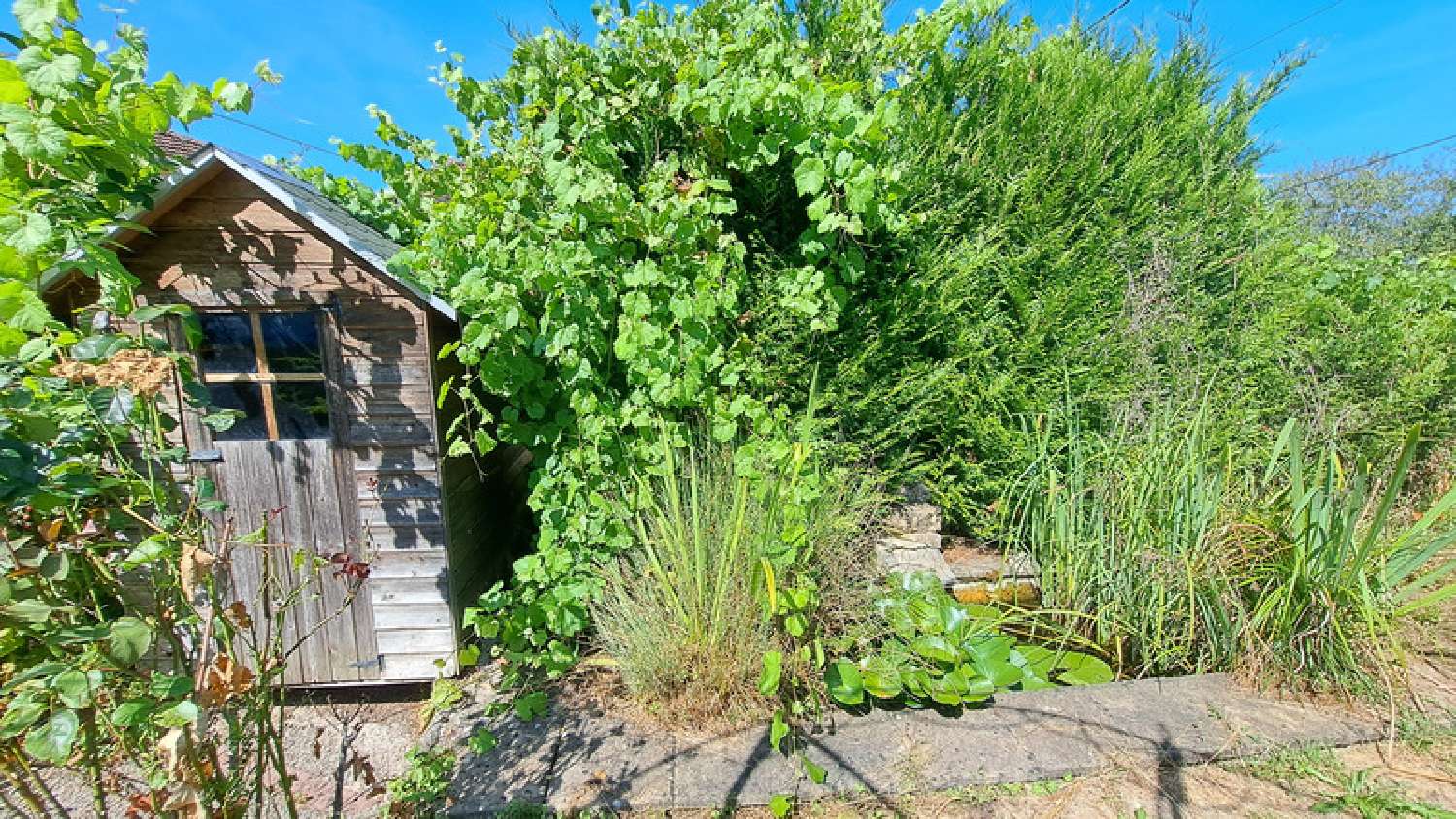  te koop huis Jussey Haute-Saône 4