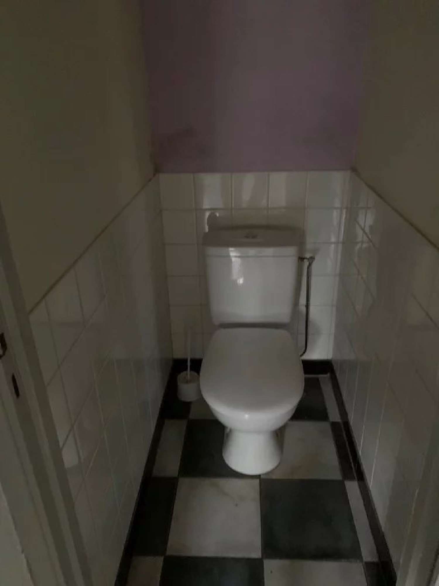  te koop huis L'Isle-en-Dodon Haute-Garonne 6