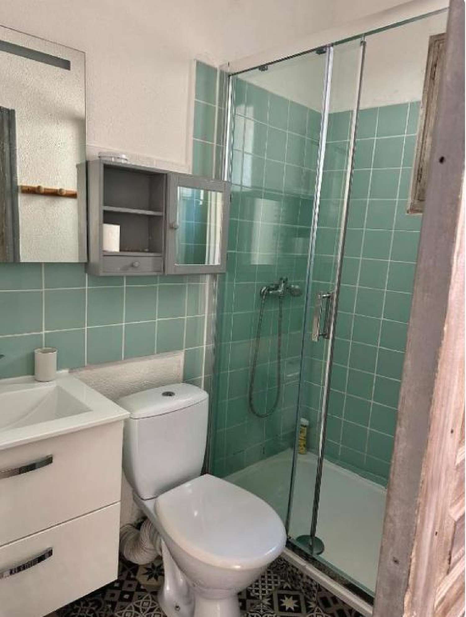 te koop huis L'Isle-sur-la-Sorgue Vaucluse 4