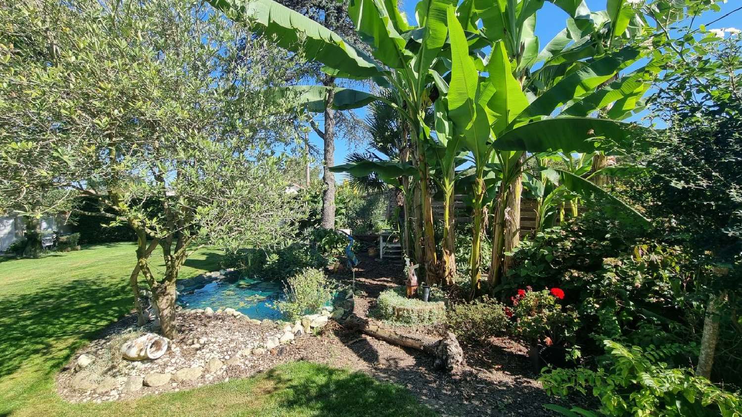 kaufen Haus L'Union Haute-Garonne 5