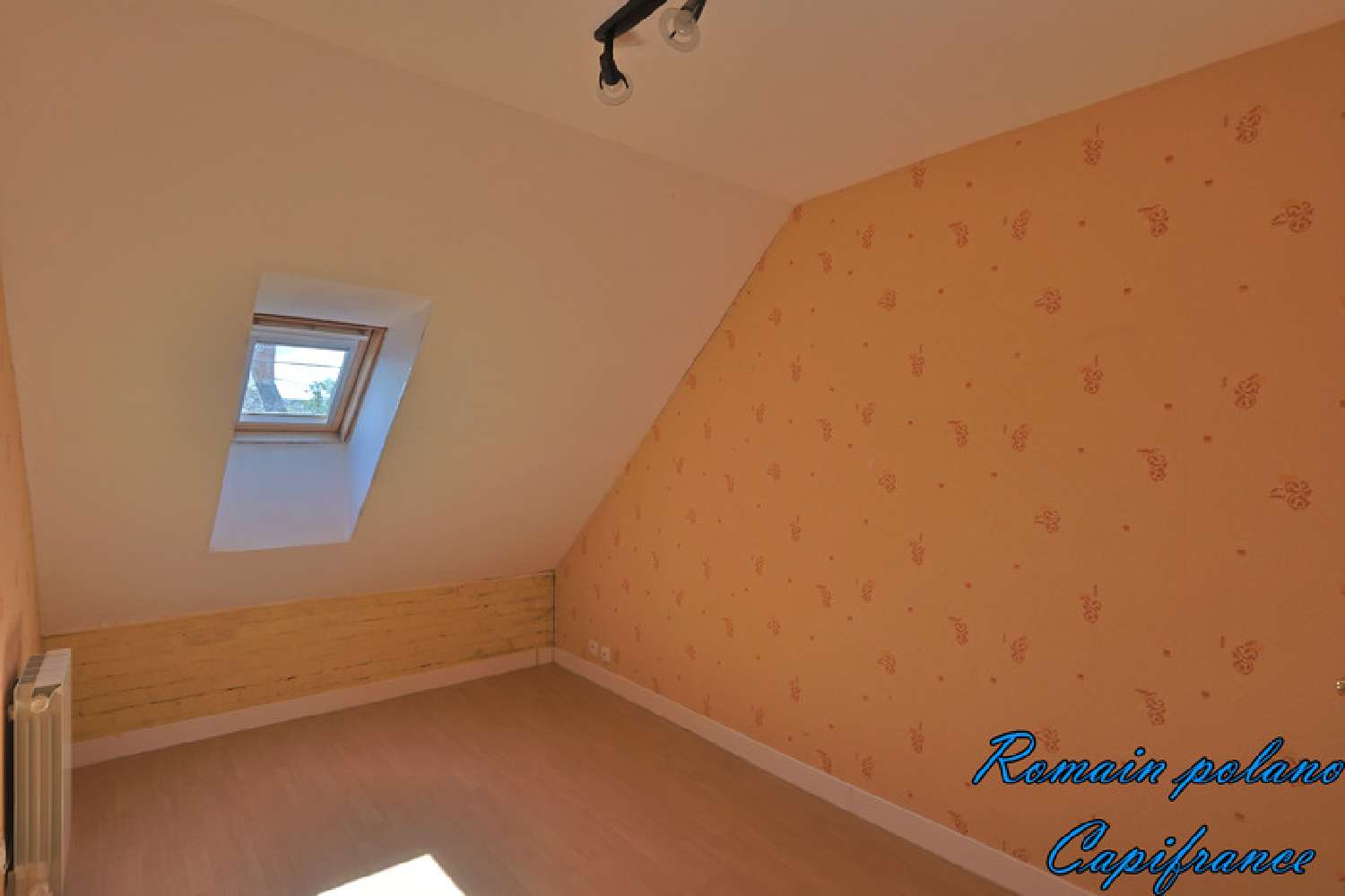 for sale house La Champenoise Indre 6