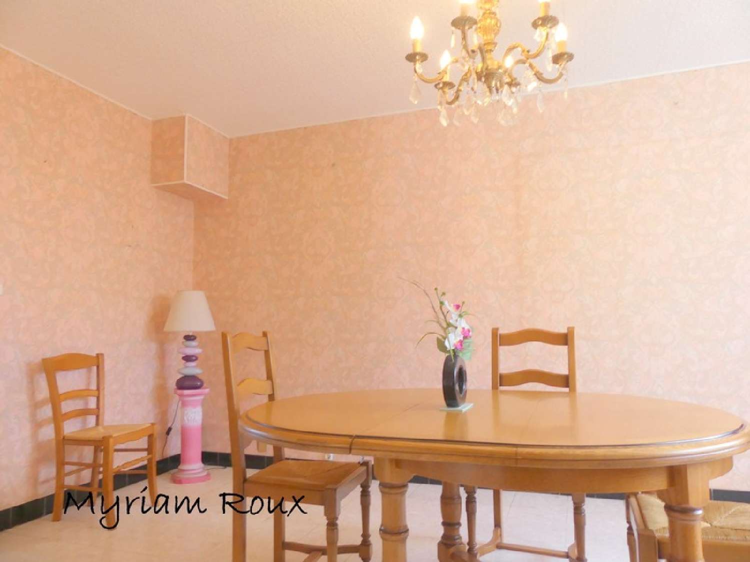 for sale house La Chapelle-Saint-Mesmin Loiret 2