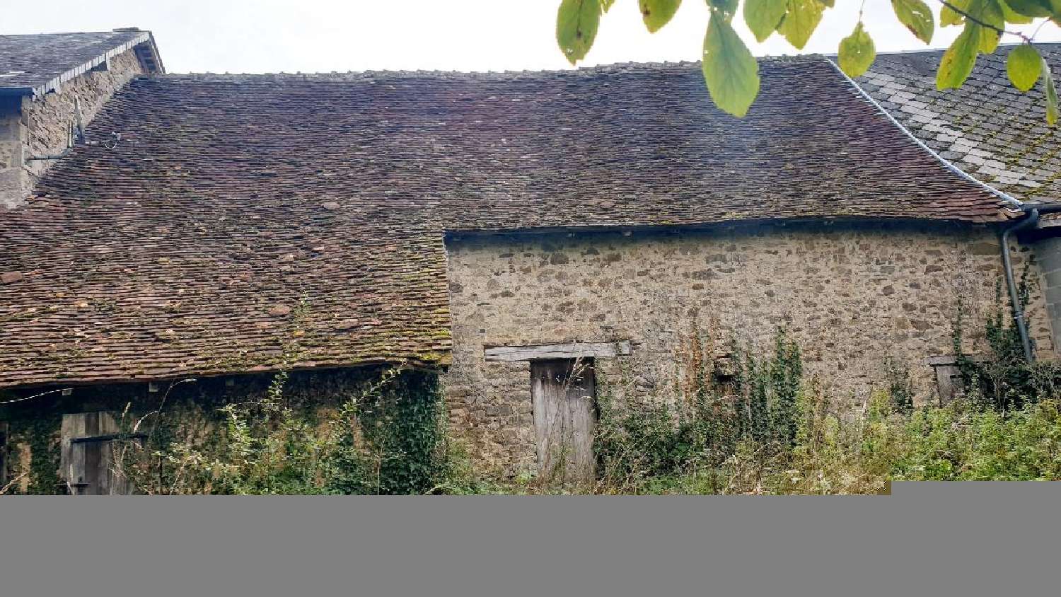  kaufen Haus La Croisille-sur-Briance Haute-Vienne 2