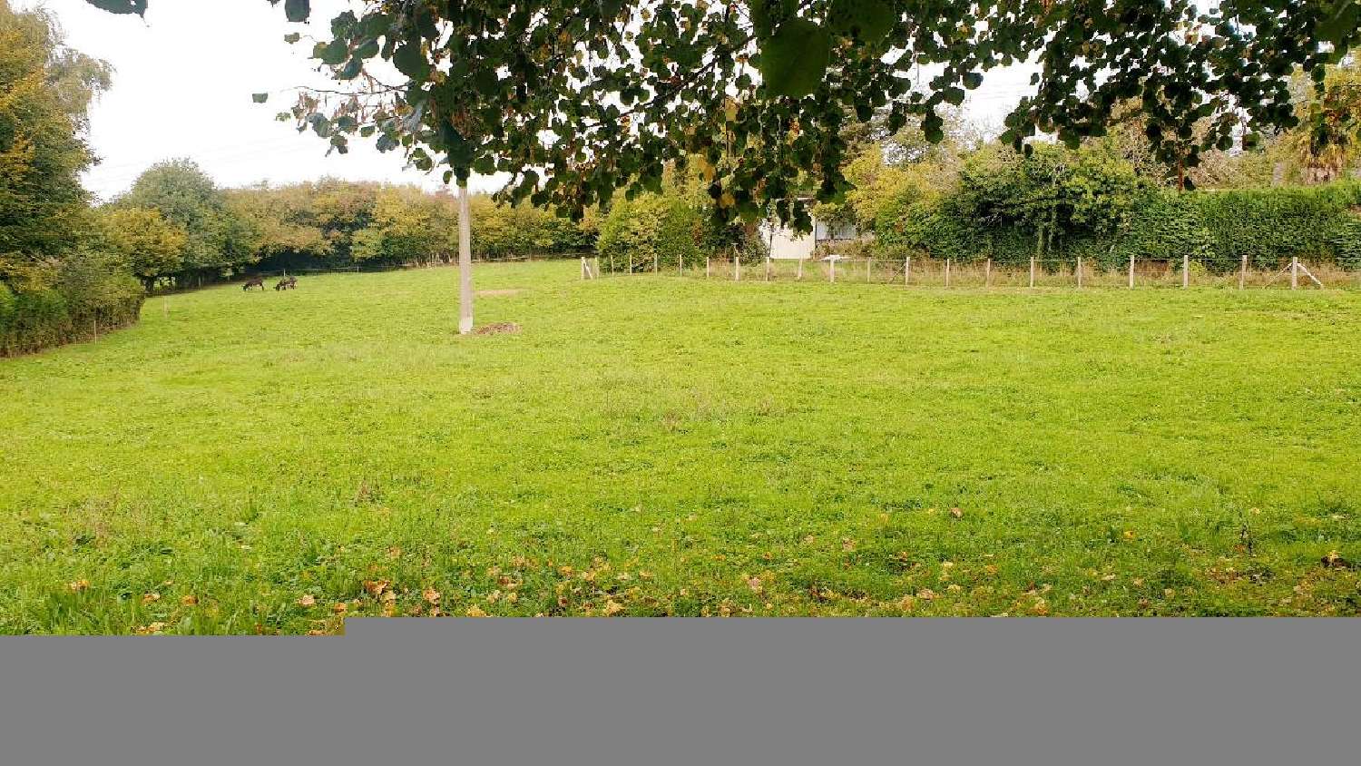  kaufen Haus La Croisille-sur-Briance Haute-Vienne 4