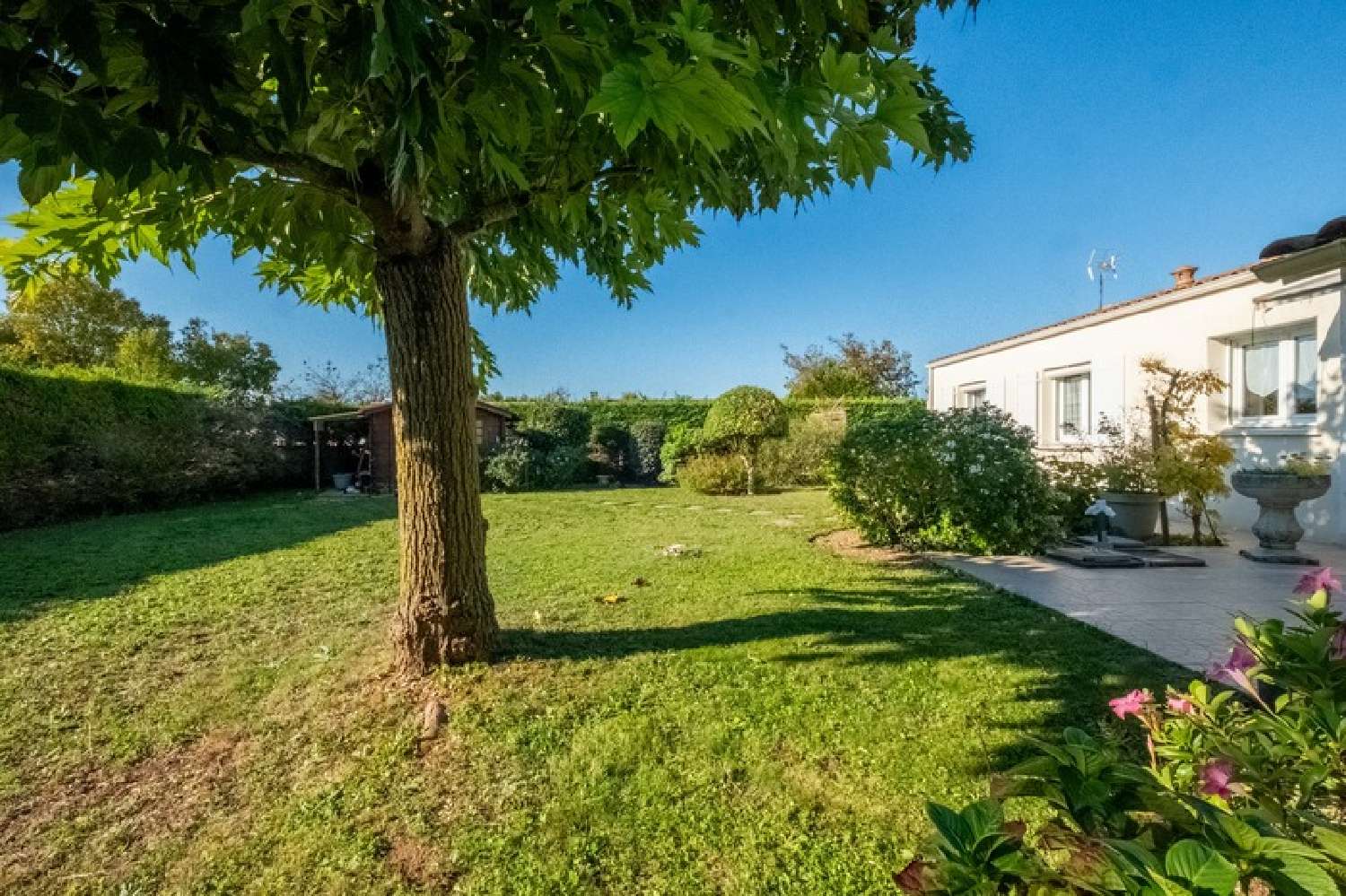  à vendre maison La Jarrie Charente-Maritime 2