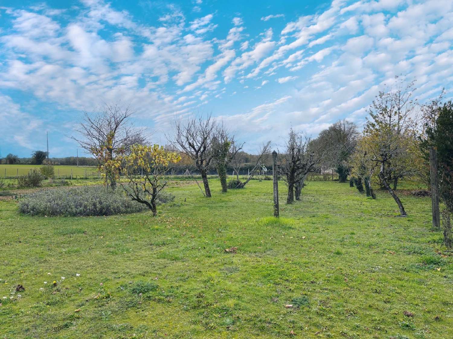  te koop huis La Magdeleine Charente 4