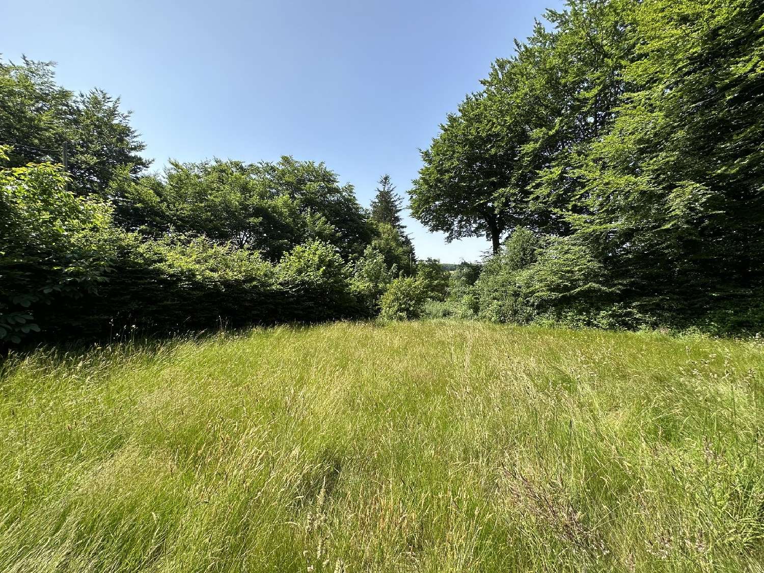  à vendre maison Lacabarède Tarn 3