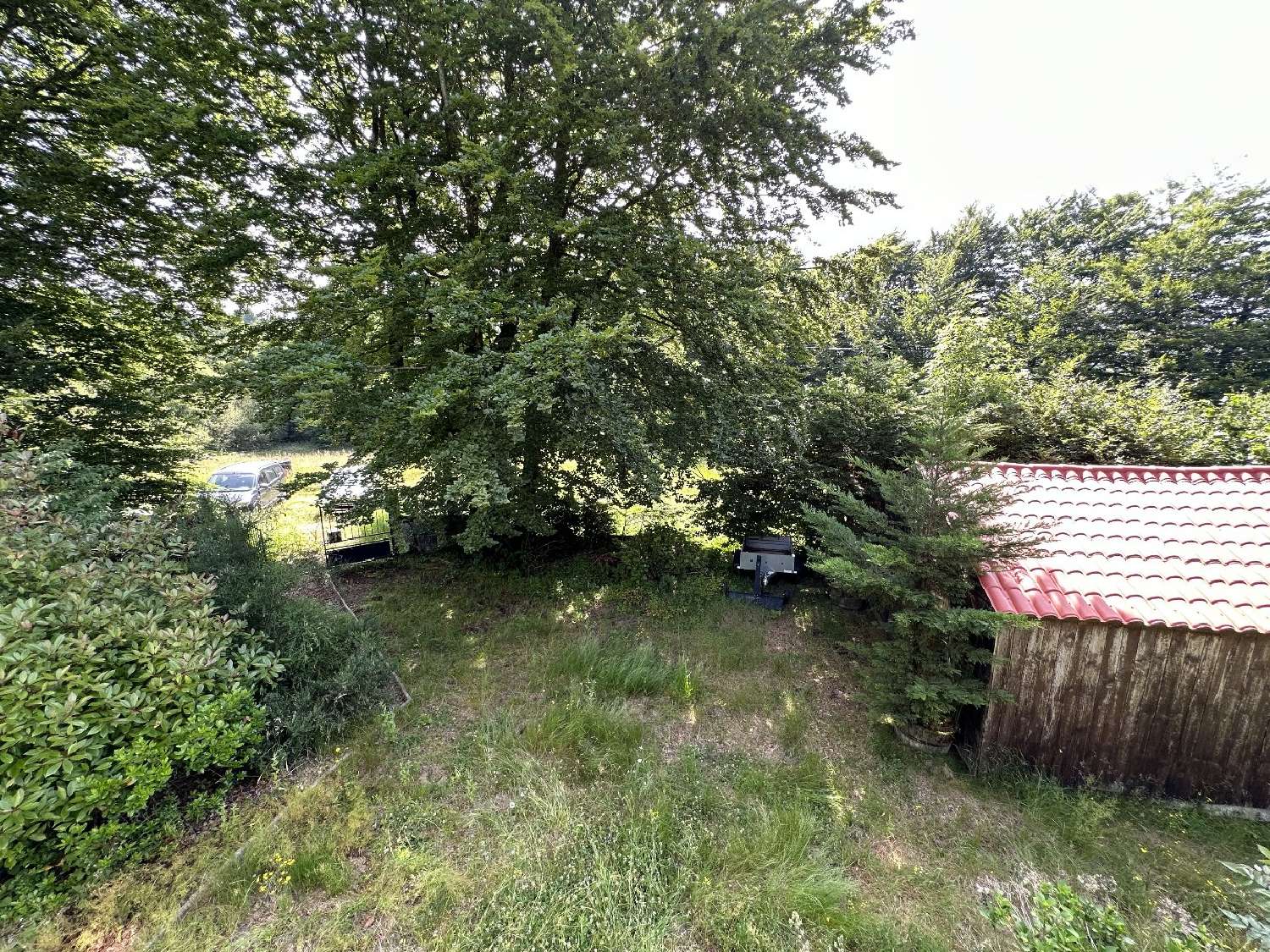  à vendre maison Lacabarède Tarn 5