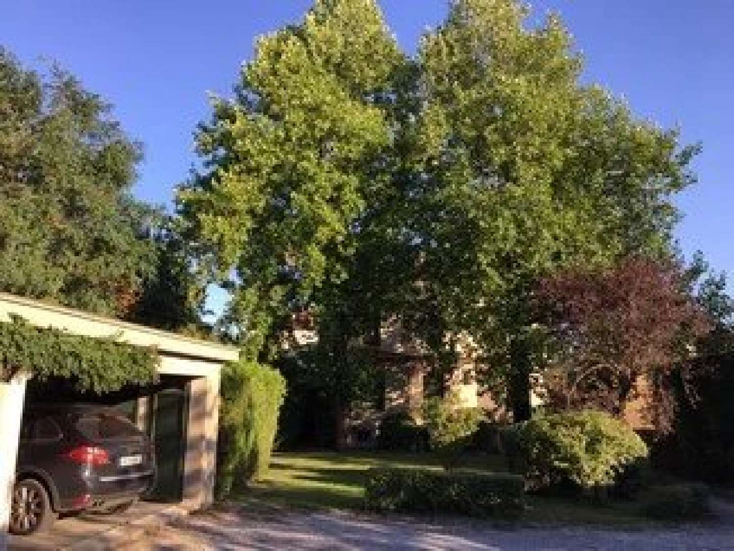  for sale house Lacaune Tarn 8