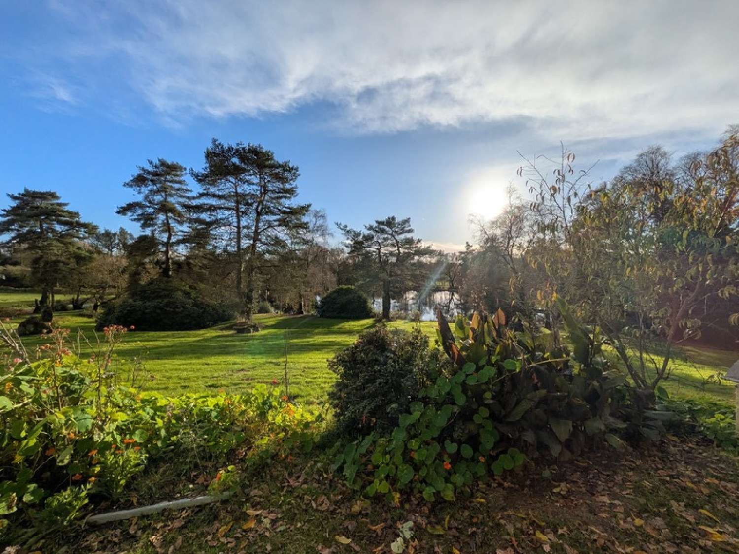  kaufen Haus Langoëlan Morbihan 5