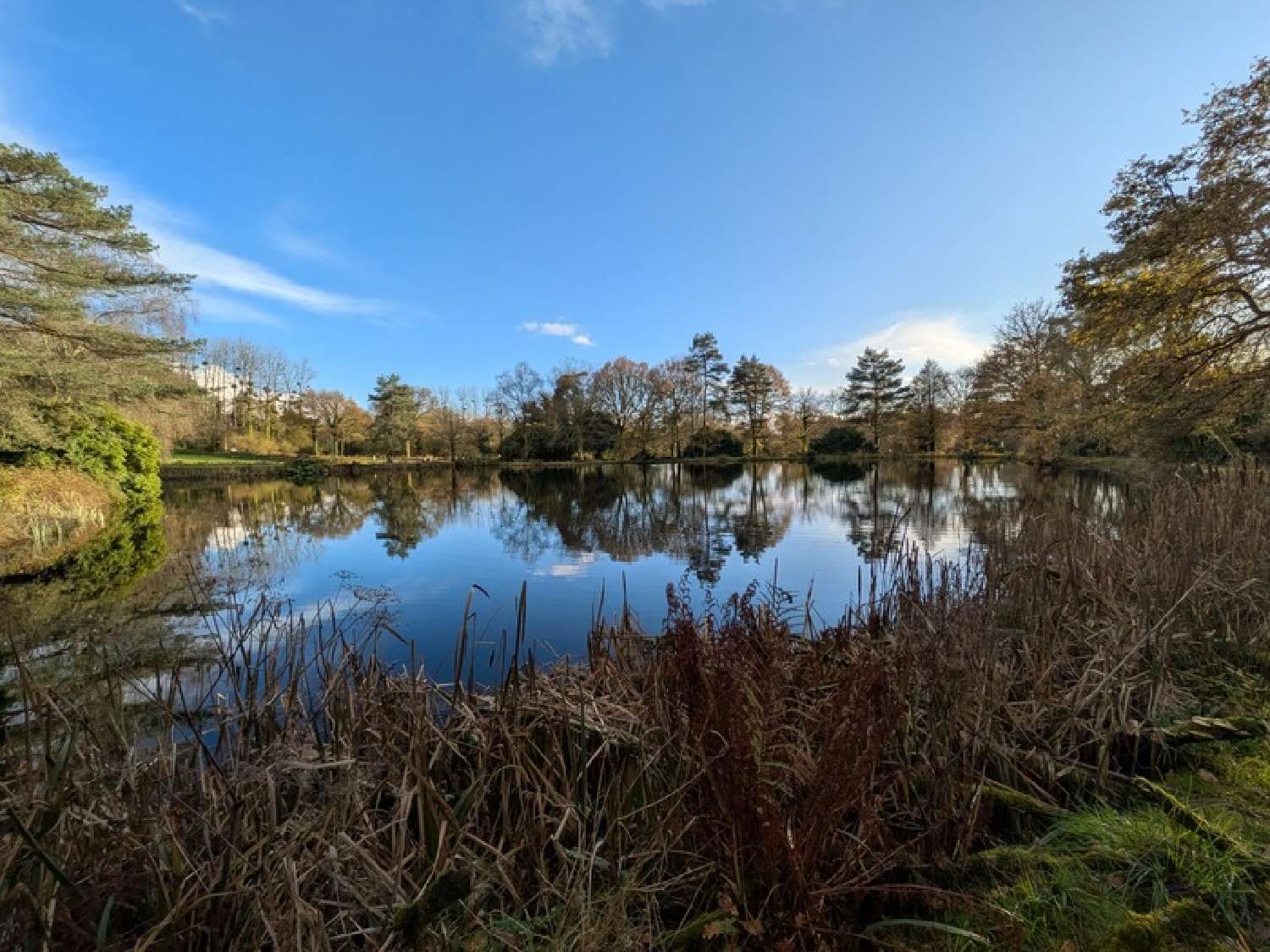  kaufen Haus Langoëlan Morbihan 8