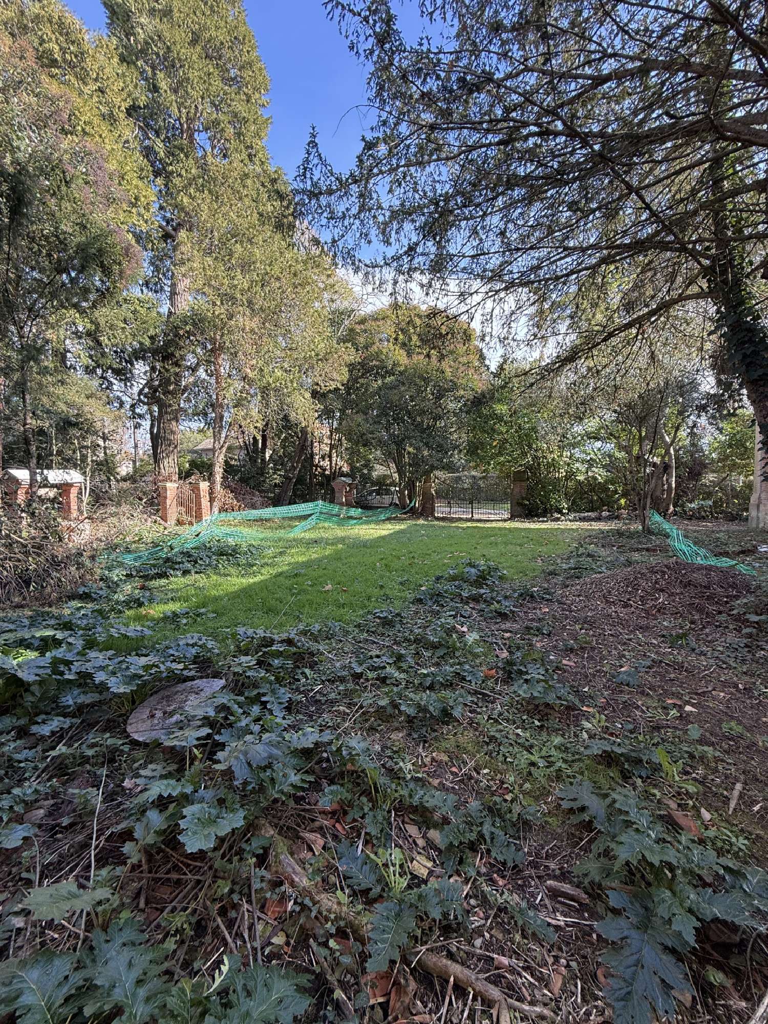 kaufen Haus Lapeyrouse-Fossat Haute-Garonne 2