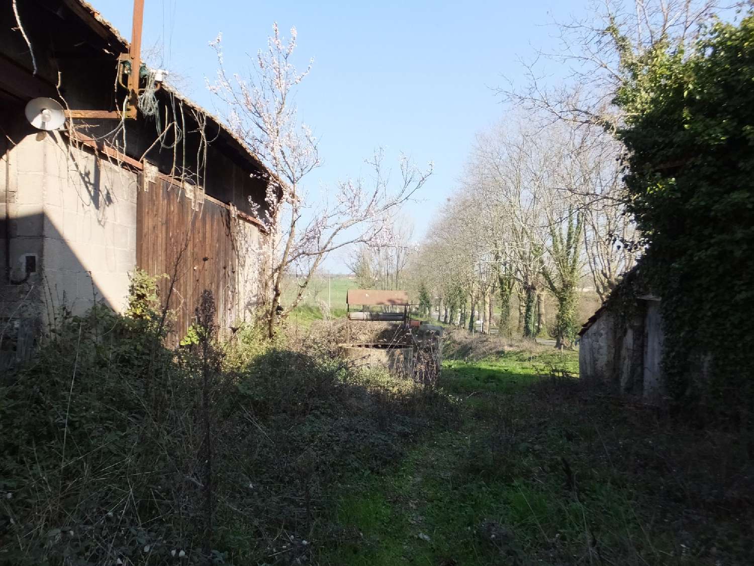  te koop huis Le Brethon Allier 2