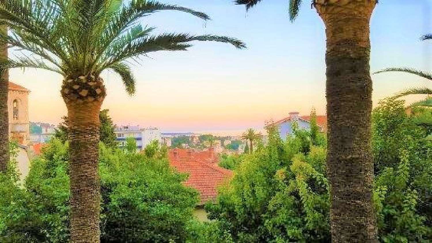 for sale house Le Cannet Alpes-Maritimes 1