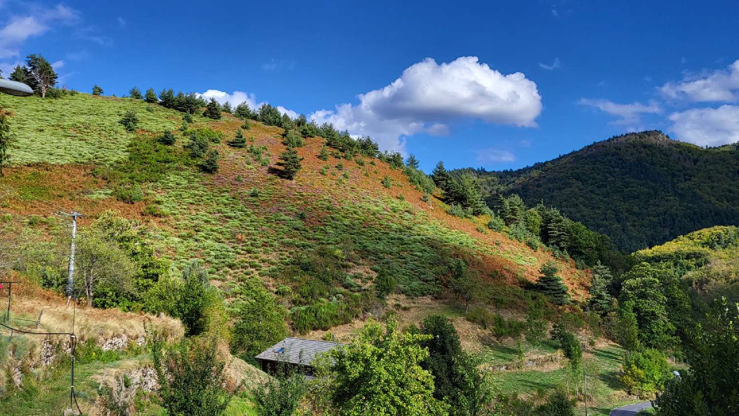  te koop huis Le Cheylard Ardèche 3