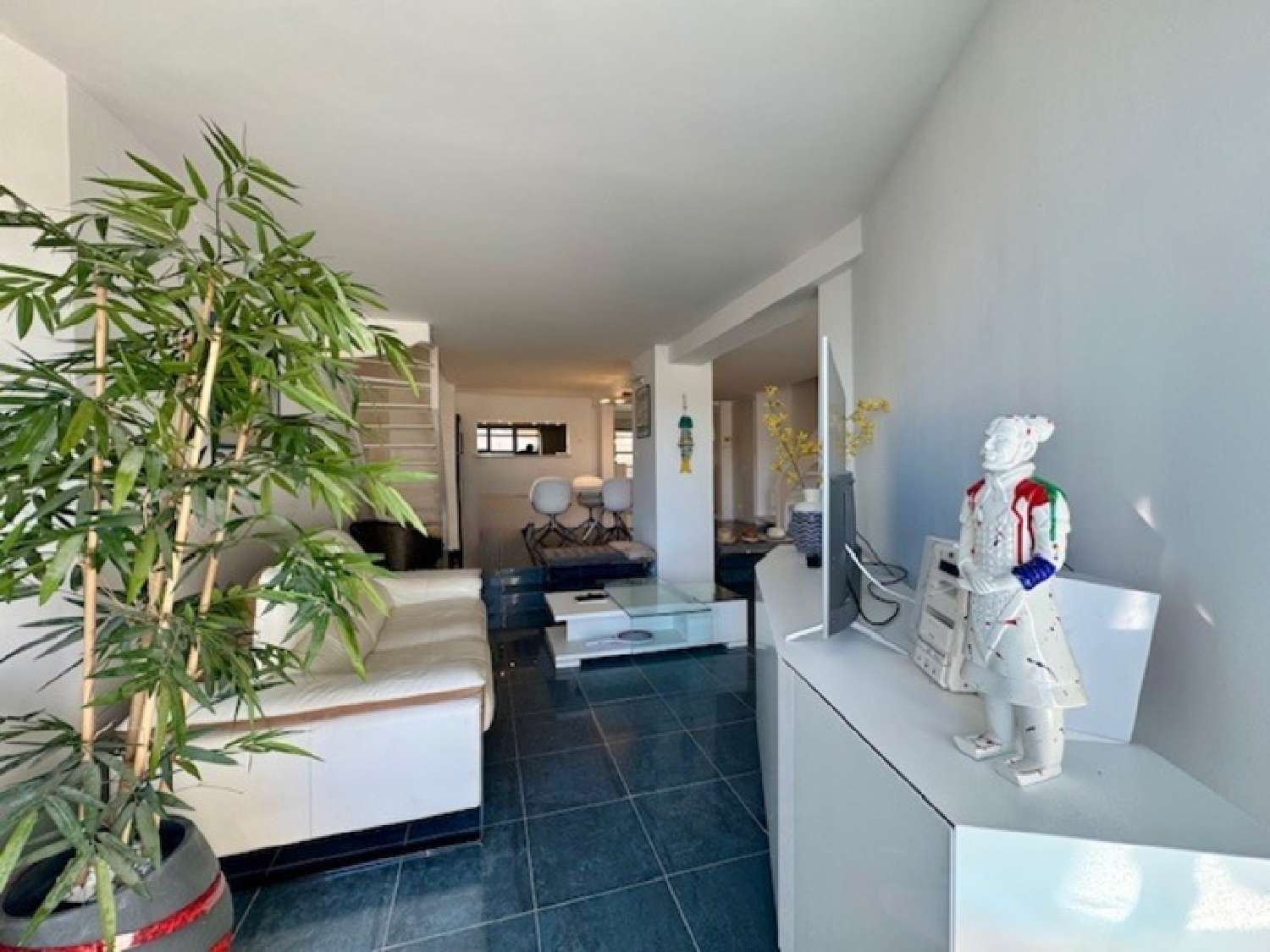 te koop huis Le Grau-du-Roi Gard 8