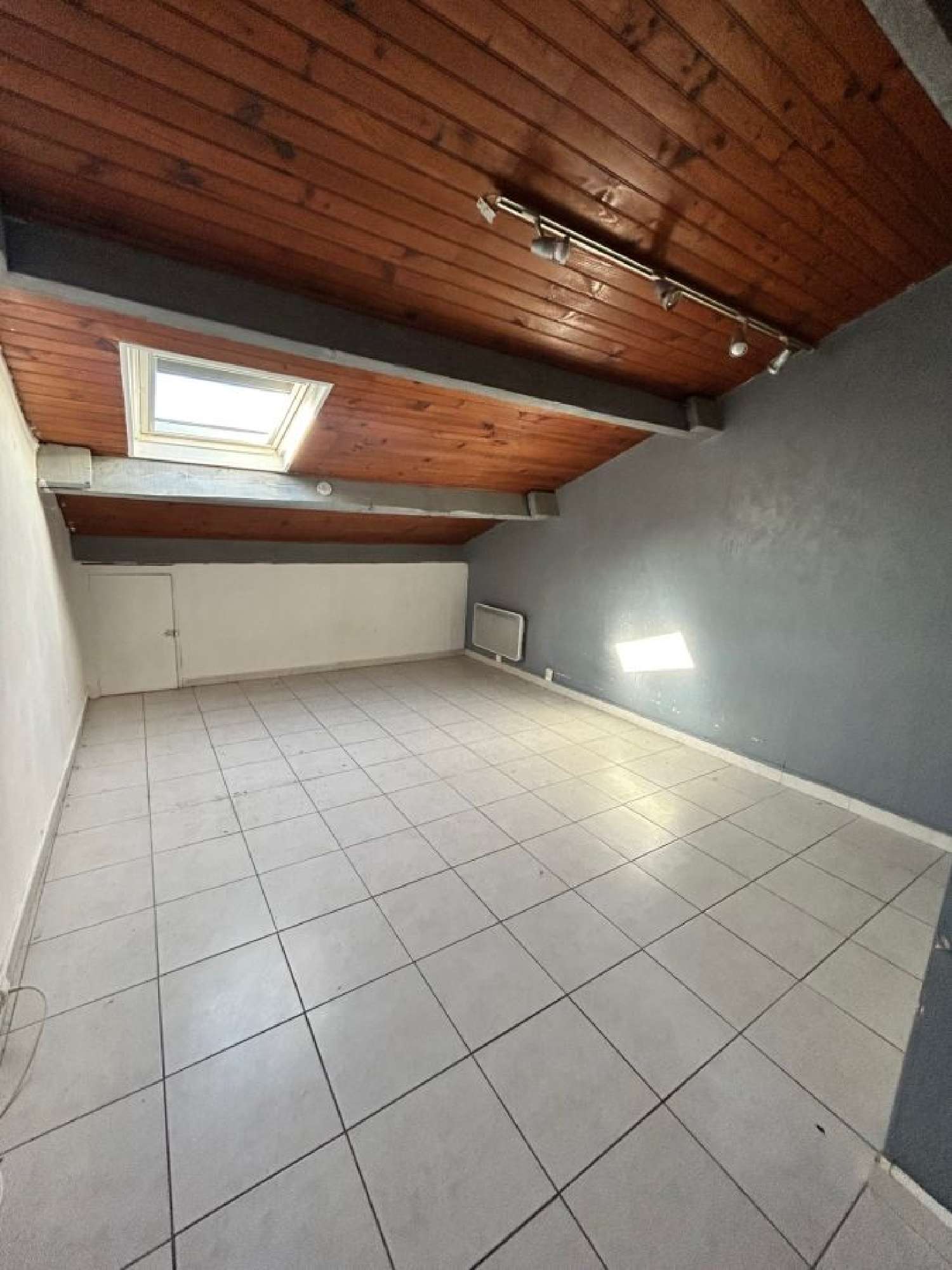 te koop huis Le Grau-du-Roi Gard 5