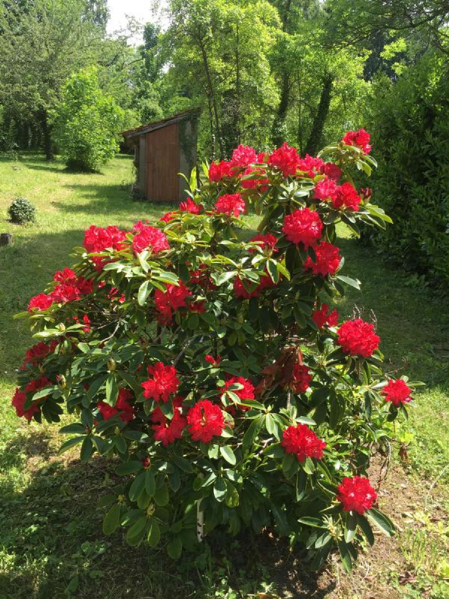 kaufen Haus Le Mayet-de-Montagne Allier 4