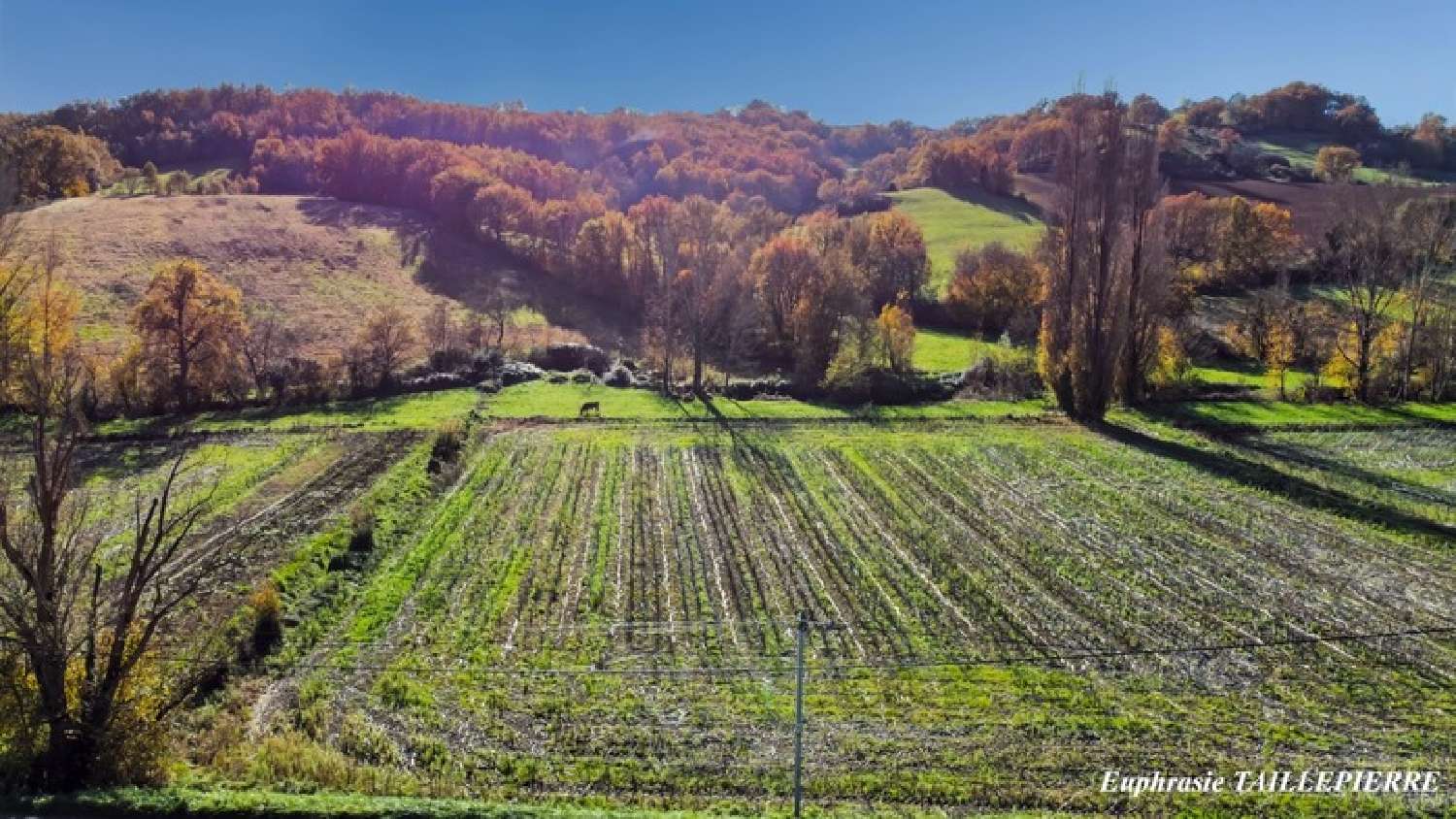  te koop huis Le Plan Haute-Garonne 8