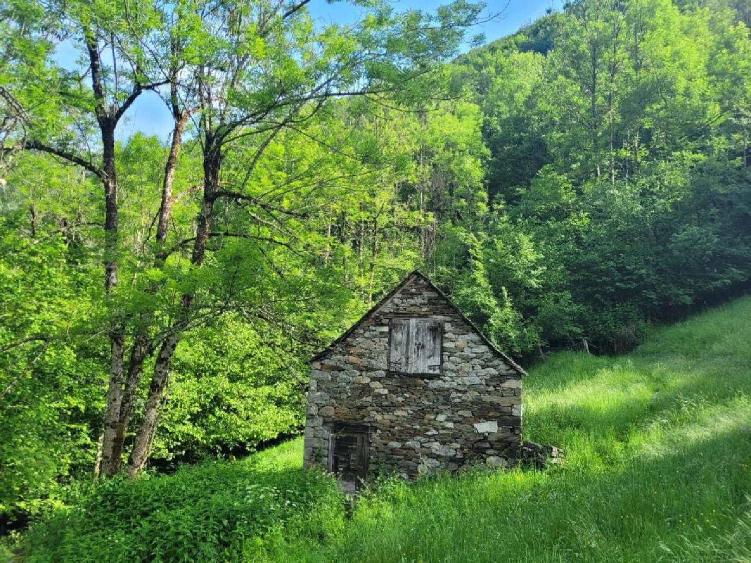  te koop huis Le Port Ariège 1