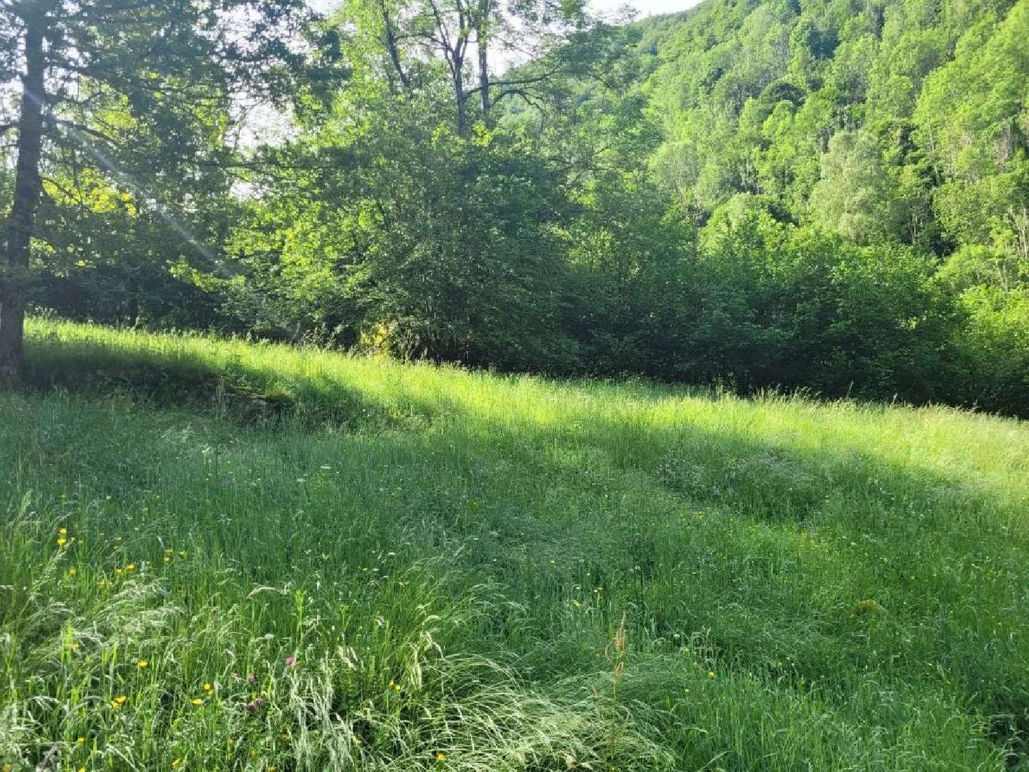  te koop huis Le Port Ariège 8