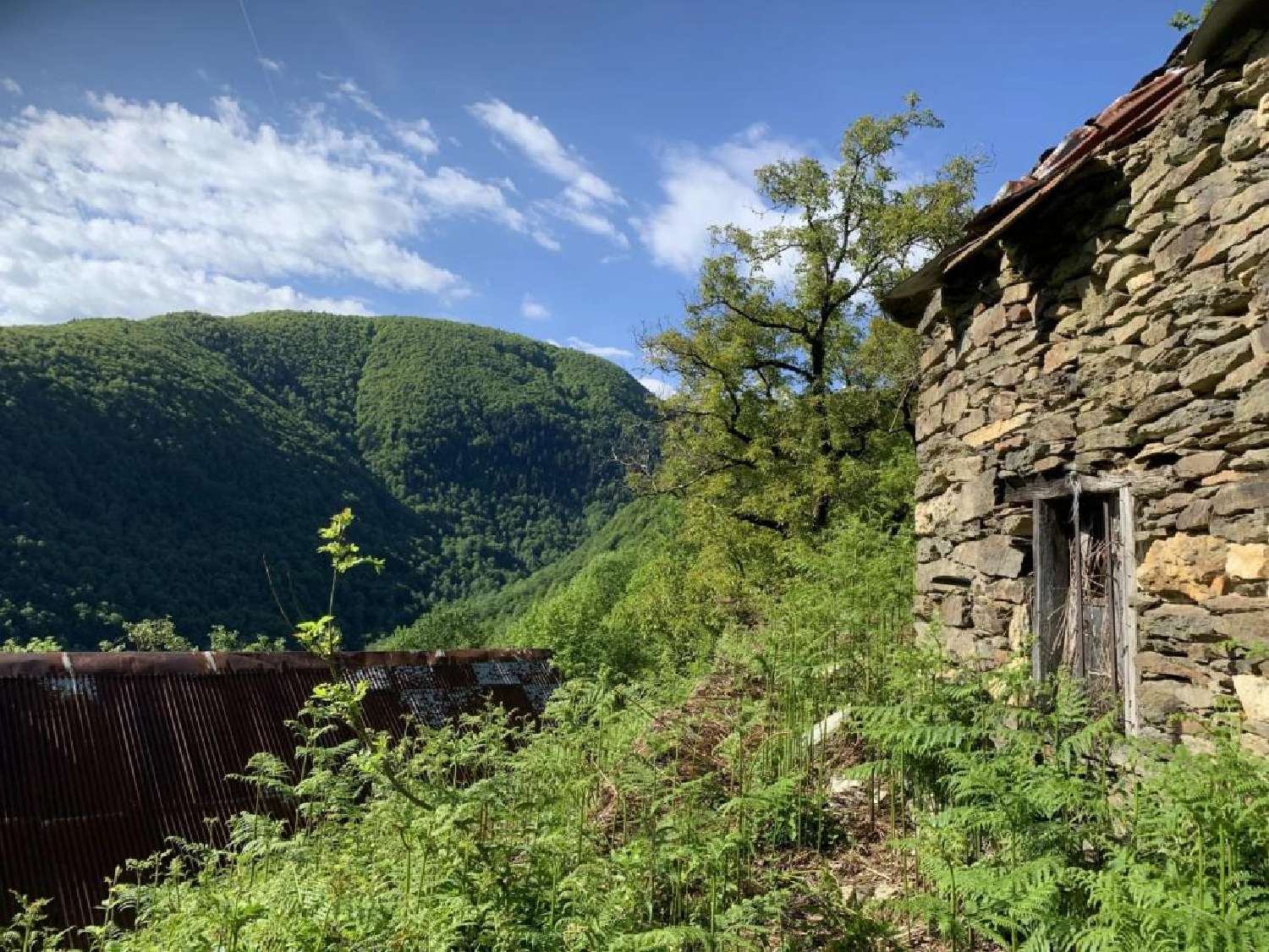  te koop huis Le Port Ariège 1