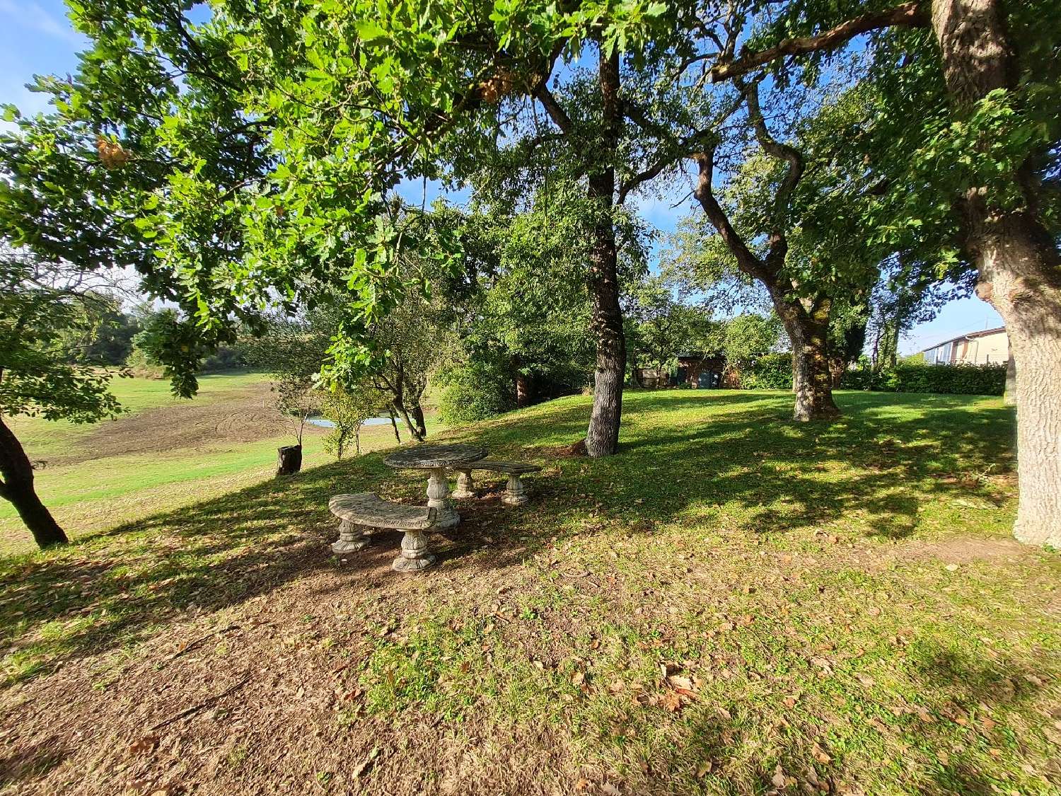  te koop huis Lectoure Gers 3