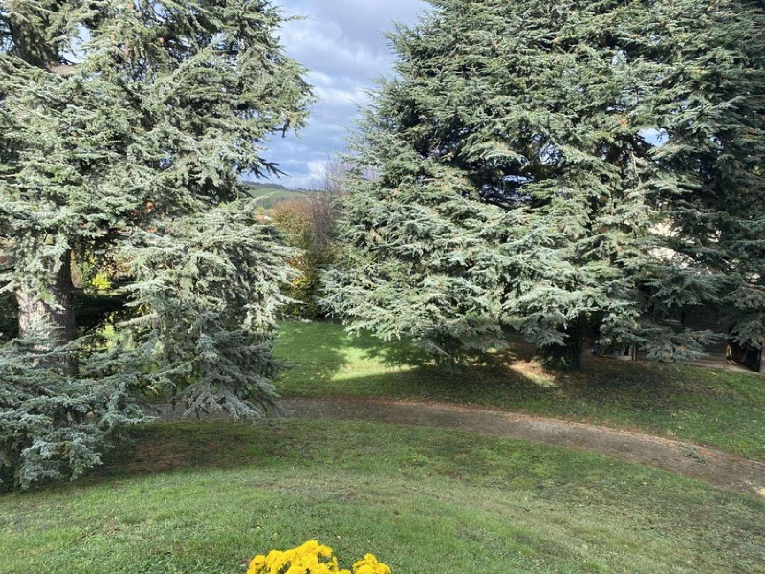 te koop huis Lentilly Rhône 5