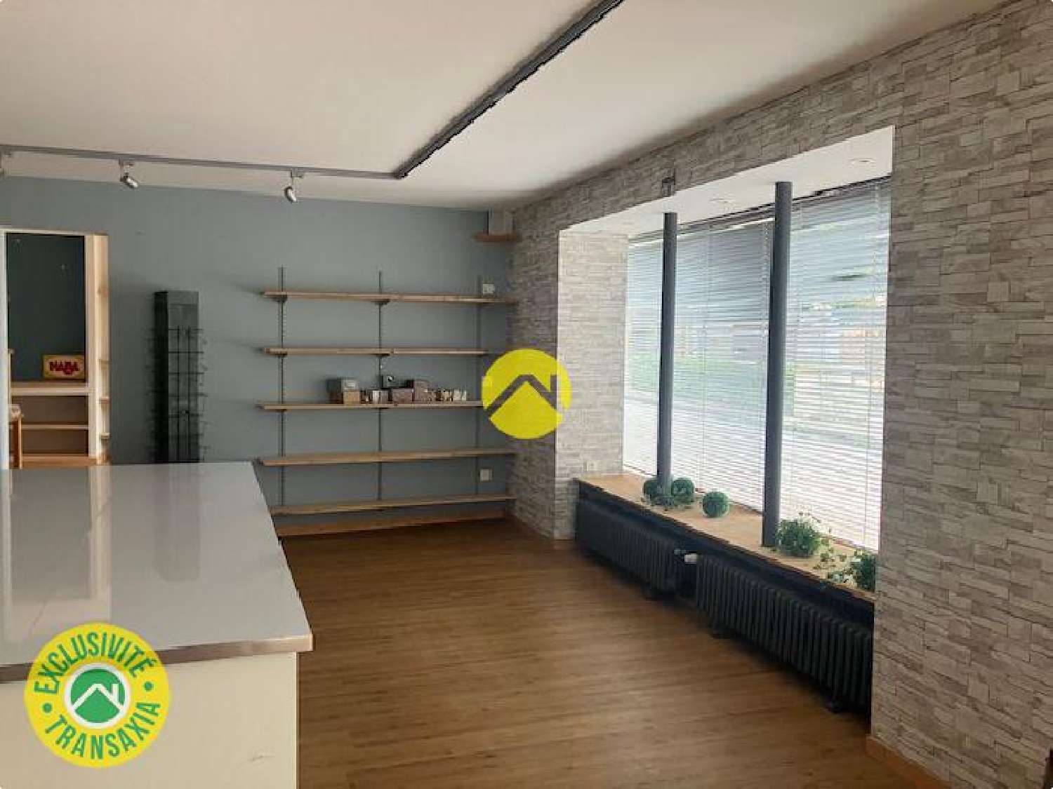 te koop huis Les Aix-d'Angillon Cher 3